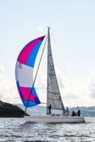 adelante gbr1007l whyw25 sun 800_7159
